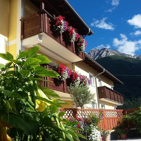 Alber Apartament